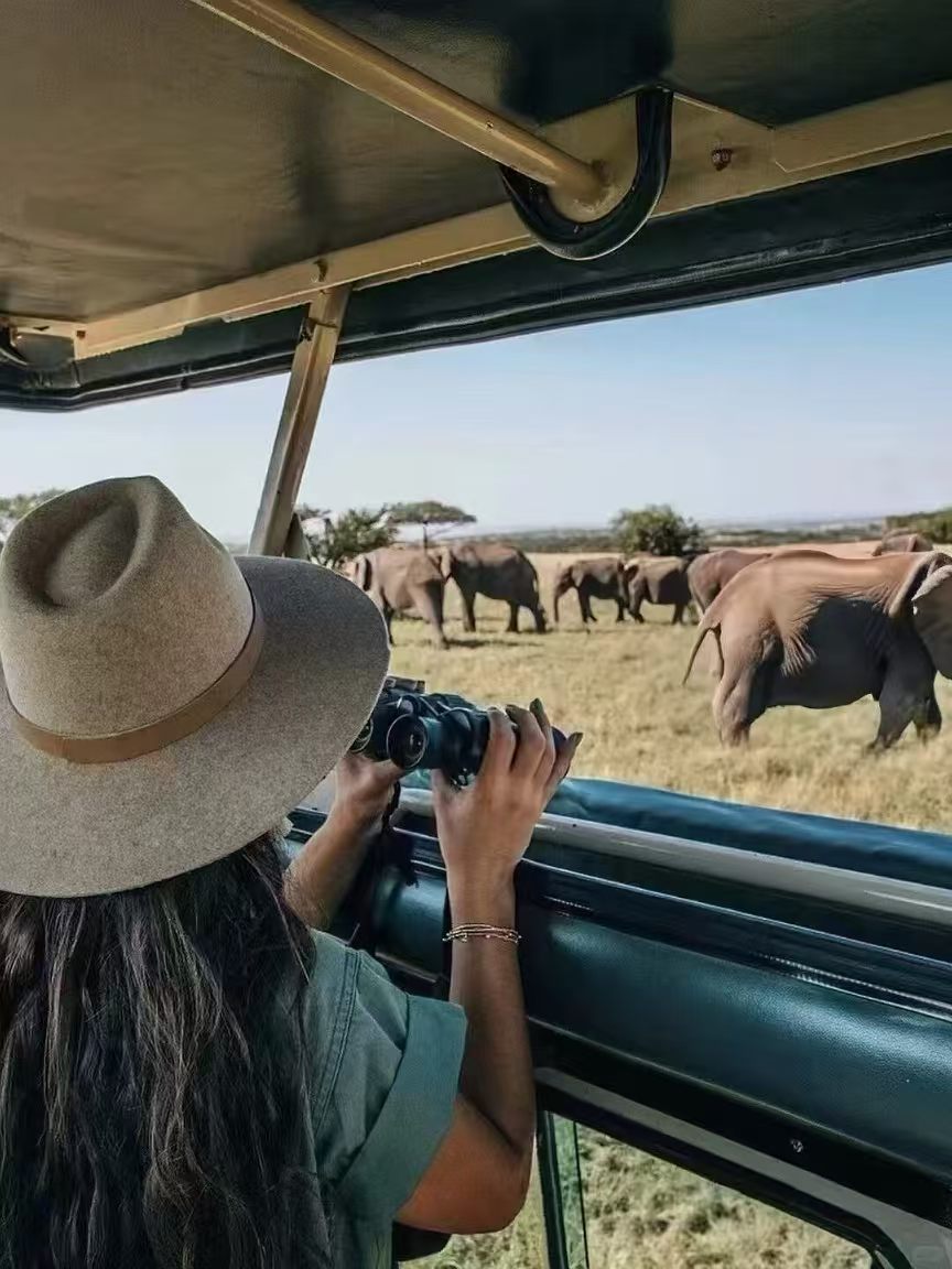 旅行者在非洲 Safari 车内拍摄象群